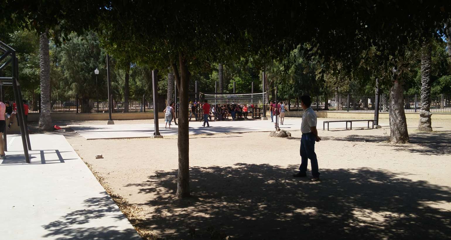 Actividades Deportivas